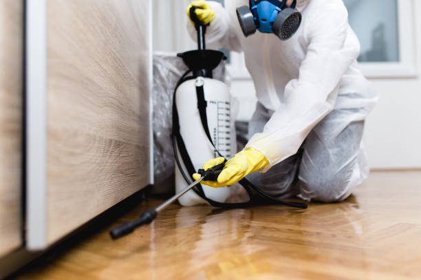 Best Pest Control Cost  in Hackleburg, AL