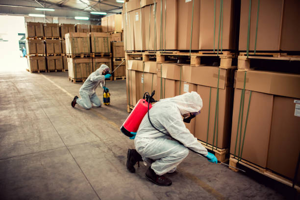 Best Bed Bug Extermination  in Hackleburg, AL