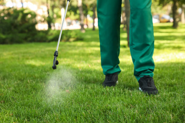  Hackleburg, AL Pest Control Pros