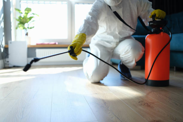 Best Pest Removal Services  in Hackleburg, AL