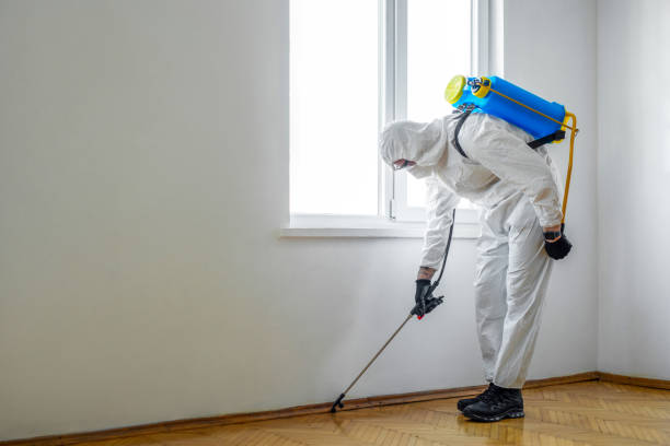 Best Affordable Pest Control Services  in Hackleburg, AL