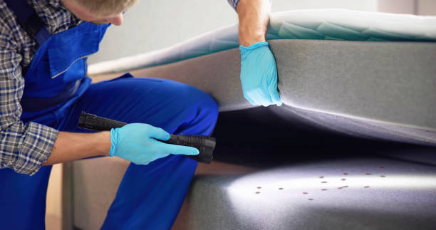 Best Cockroach Control Services  in Hackleburg, AL